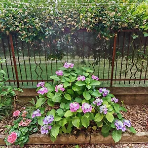 Casa Di Serena Apartamento